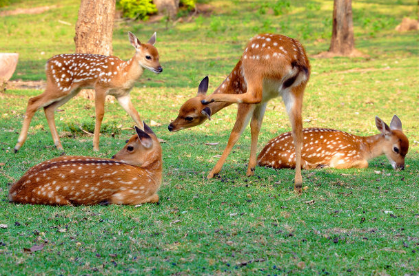 5d5cd94d07535.png image.png