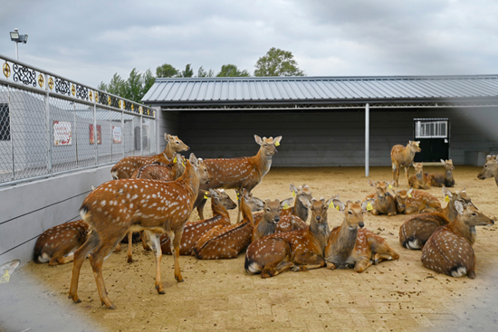 5f7296456f347.png 圖片 2.png